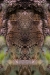 e-b-59-0509