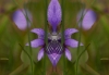 e-bbb_-f-05-0409