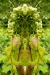 e-bbb_-f-26-0609