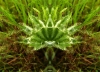 e-bbb_-f-32-0609