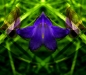 e-bbb_-f-39-0609