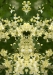 e-bbb_-f-44-0609