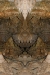 e-ue_-01-0508
