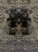 e-w-07-0408