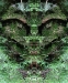 sp-01-0607