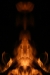 f-lf_-13-0608