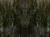 w-fl_-09-0408