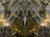 w-fl_-89-0809